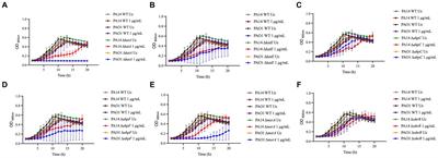 The secondary metabolite hydrogen cyanide protects Pseudomonas aeruginosa against sodium hypochlorite-induced oxidative stress